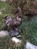 KOHOUT LITINA - Obrázek 2