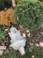 ZAHRADNÍ VÝLEVKA LITINA ZELINKAVÁ PATINA - Obrázek 2