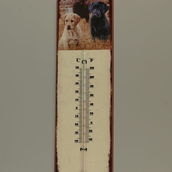 KOVOVÝ TEPLOMĚŘ S PESKY