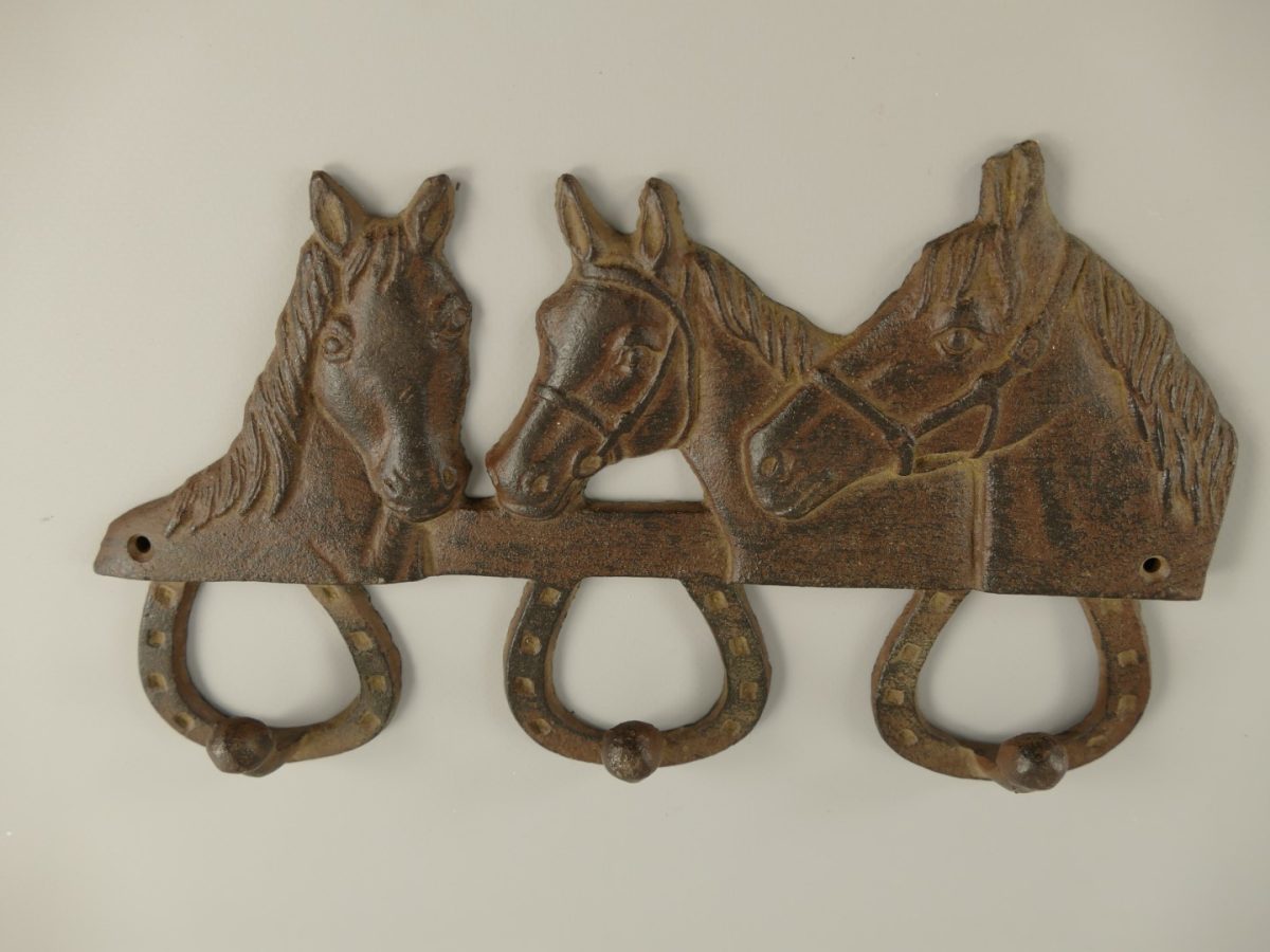 VĚŠÁK LITINA PODKOVA KŮŇ - Obrázek 3