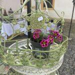 ŽARDINIERKA PROVANCE