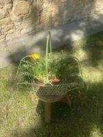 KOŠÍK ZAHRADNÍ OBDELNÍKOVÝ ZELINKAVÁ PATINA - Obrázek 3