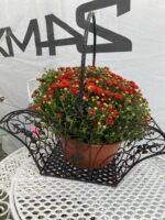 KOŠÍK ZAHRADNÍ OBDELNÍKOVÝ HNĚDOČERNÝ - Obrázek 2