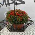 ZAHRADNÍ KOŠIK PROVANCE