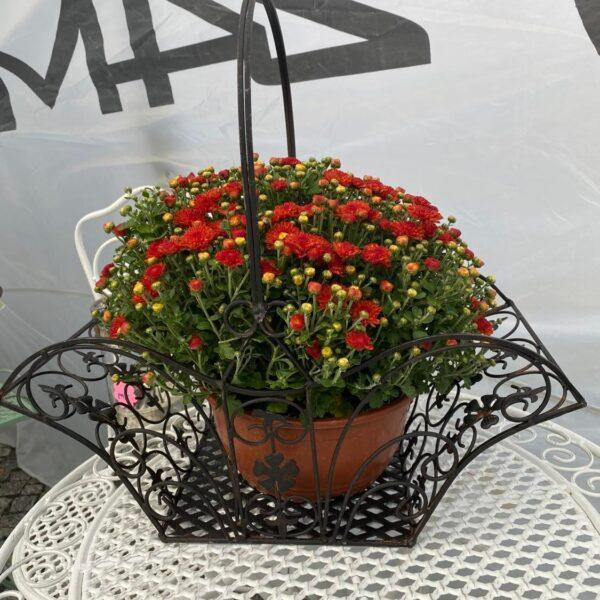 ZAHRADNÍ KOŠIK PROVANCE