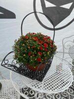 KOŠÍK ZAHRADNÍ OBDELNÍKOVÝ HNĚDOČERNÝ - Obrázek 3